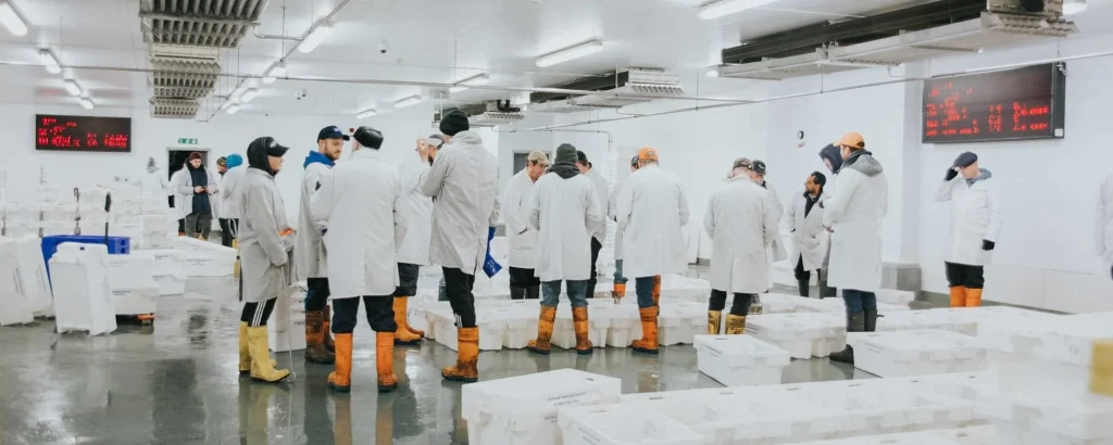 Brixham-Fish-Market-e1548169957204