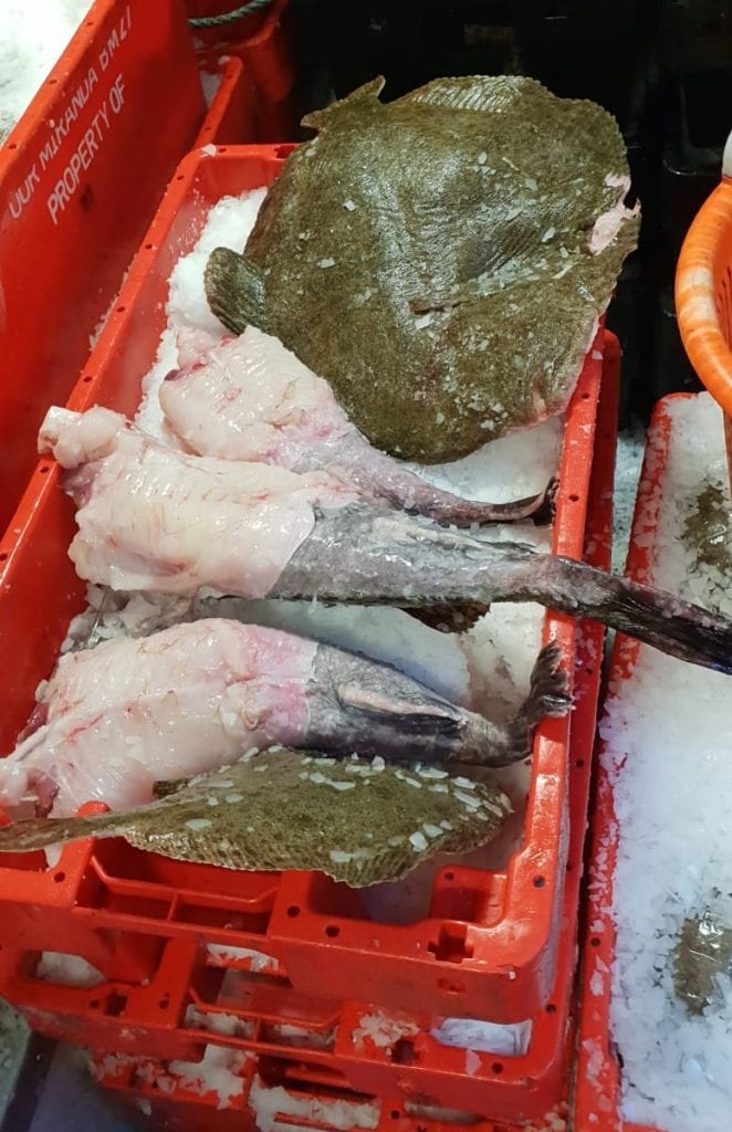 Catch of the day on Our Miranda