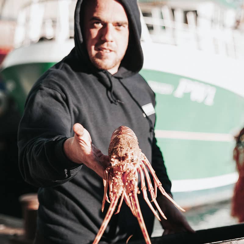 How-about-this-for-a-fresh-lobster-direct-from-Brixham-Fish-Quay-blur