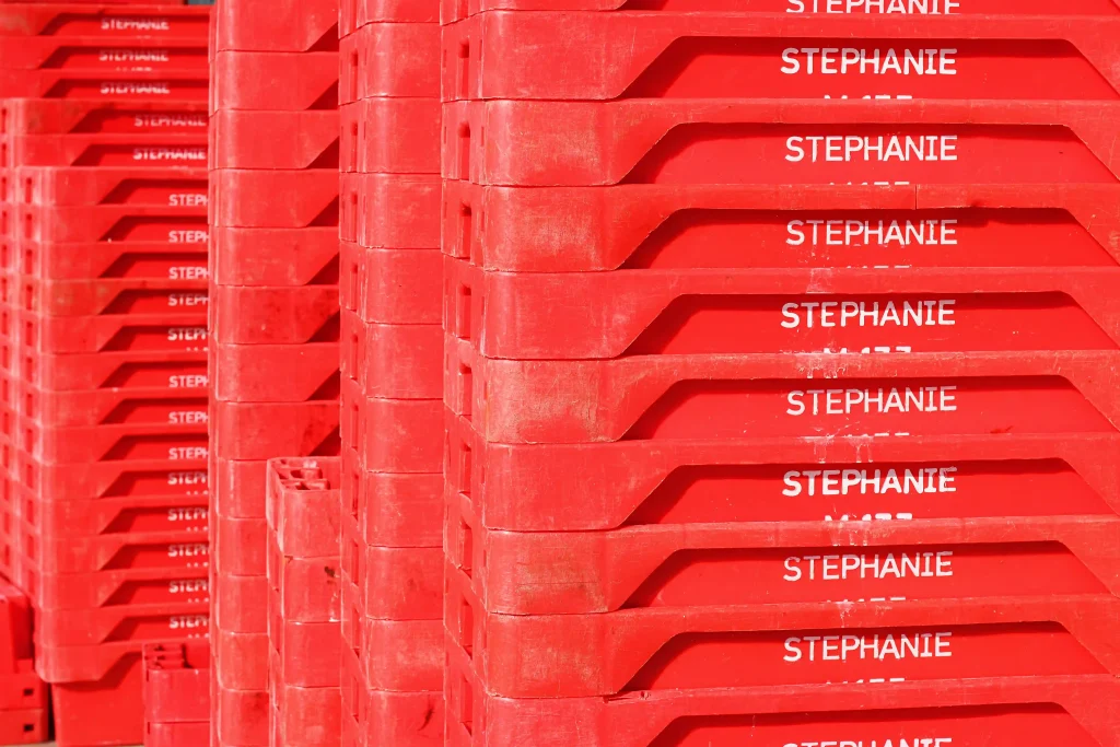 Boat-Boxes-Brixham-Fish-Market