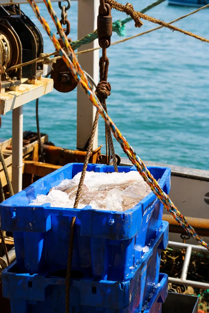Brixham-Fish-Landing-In-Brixham