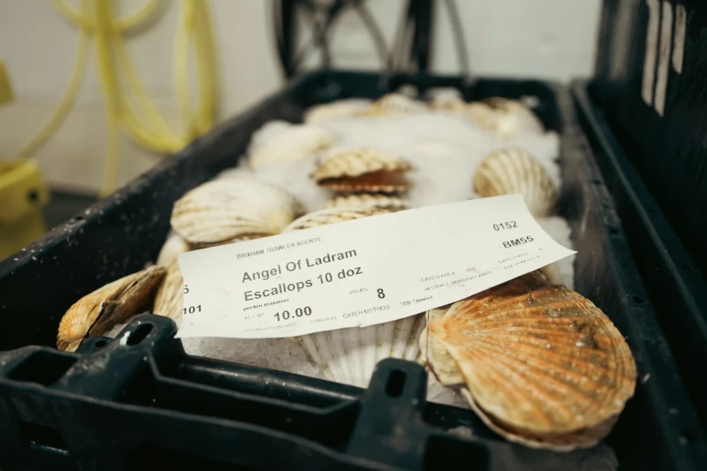 Brixham-Fish-Market-Fish-Labels