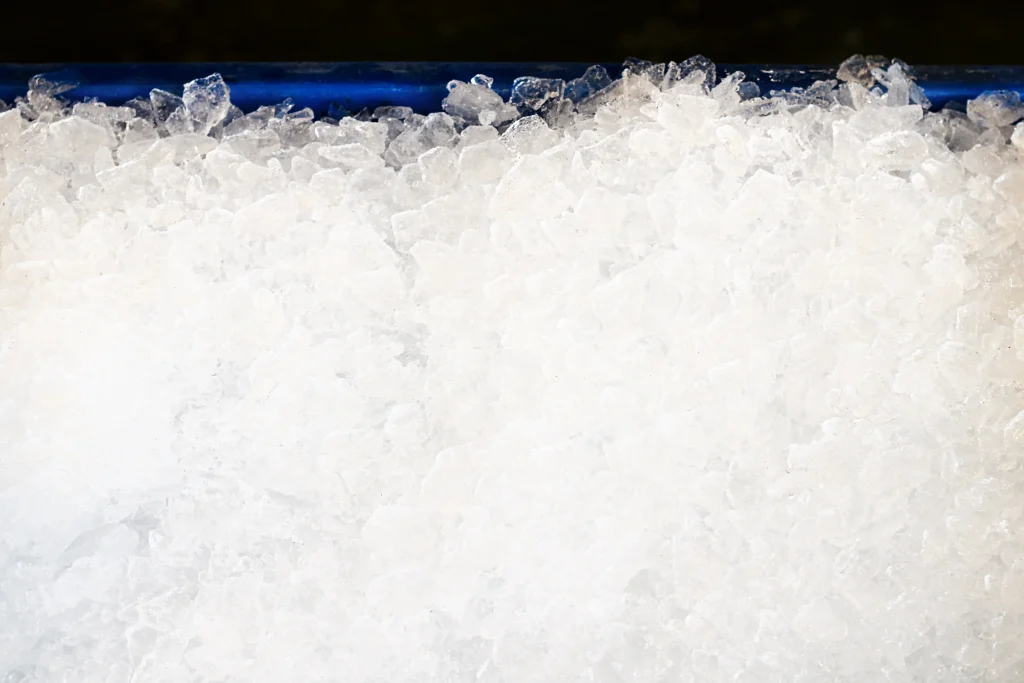 Ice-Brixham-Fish-Market-Ice-Plant