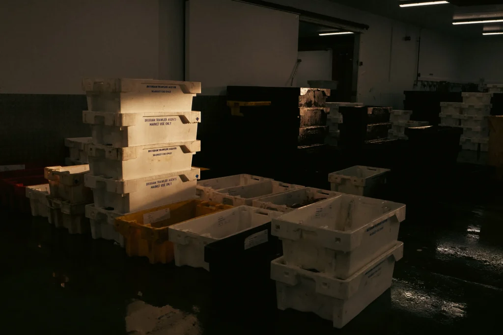 MARKET-BOXES