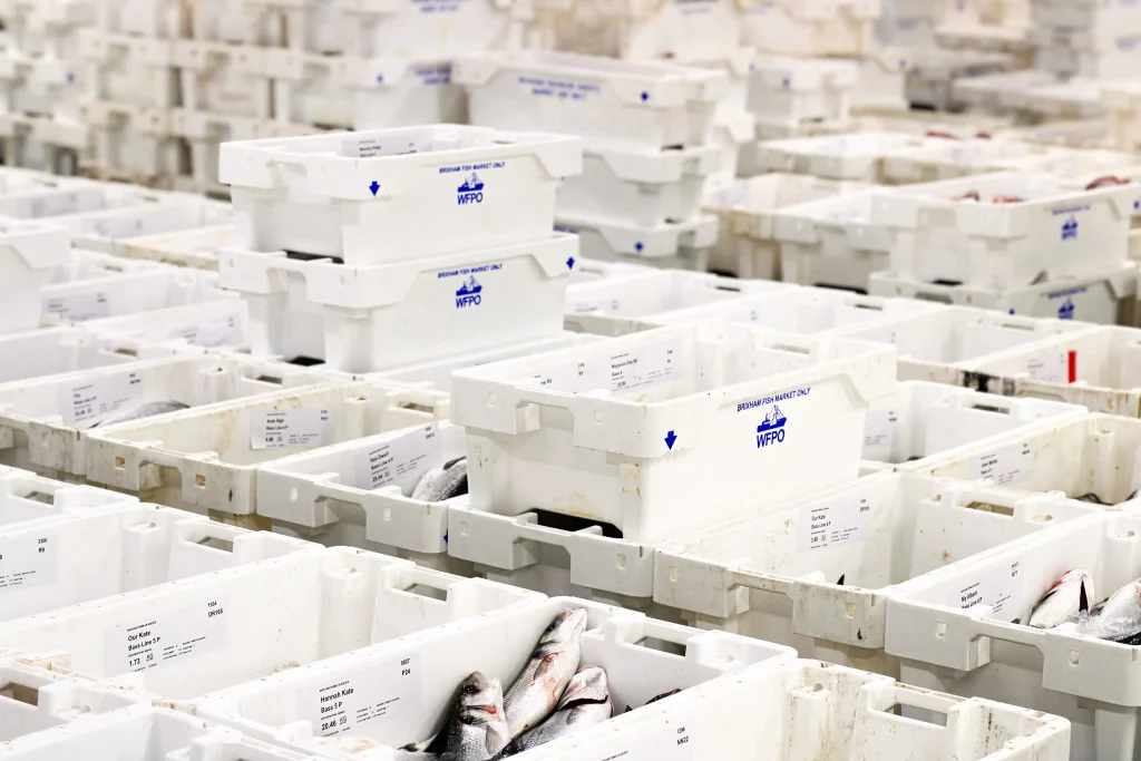 Market-Boxes-At-Brixham-Fish-Market