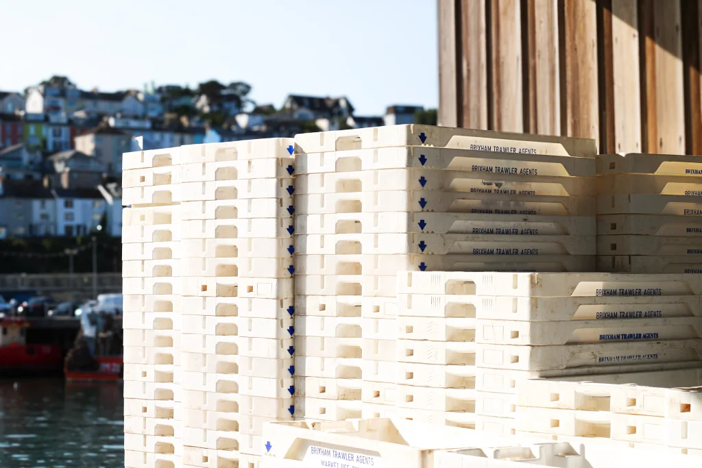 White-Brixham-Fish-Market-Boxes