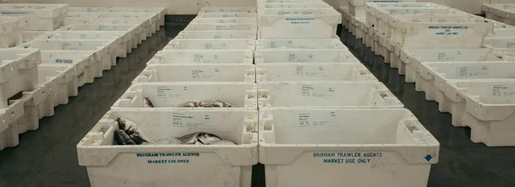 Become-A-Fish-Buyer-Banner
