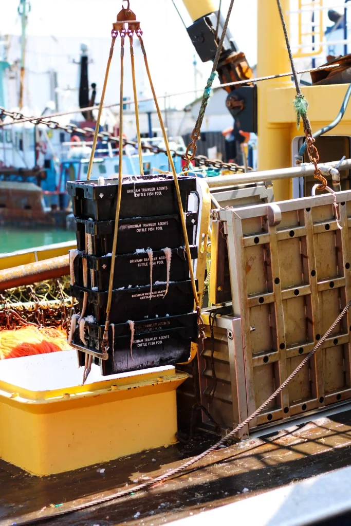 Landing-Fish-Brixham